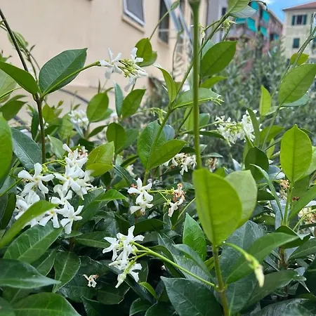 Apartment Casaviva - Sweet Trilo With Dehors In Santa M. *